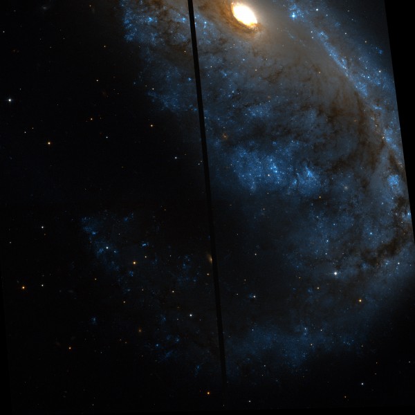 NGC 2442 Hubble south wing