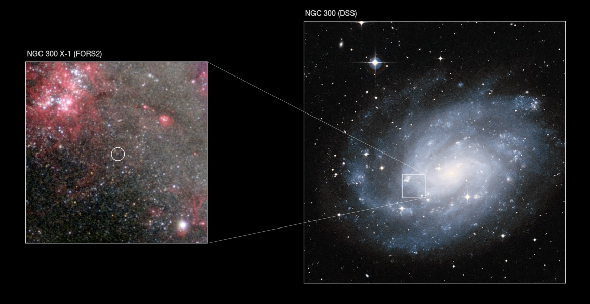 NGC 300 X-1 in the spiral galaxy NGC 300 (ESO 1004b)