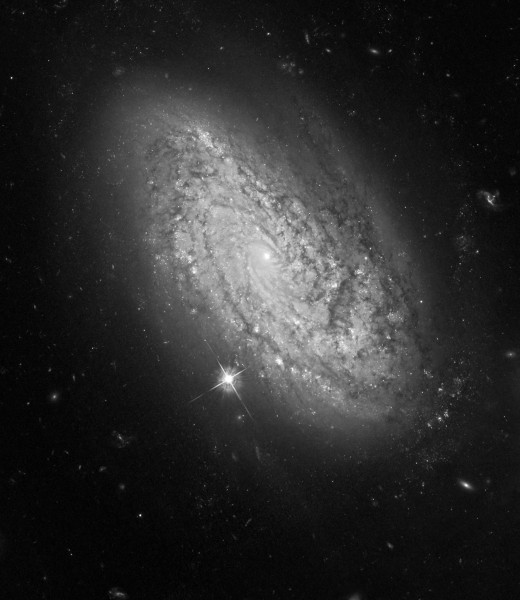 NGC 3021 Hubble