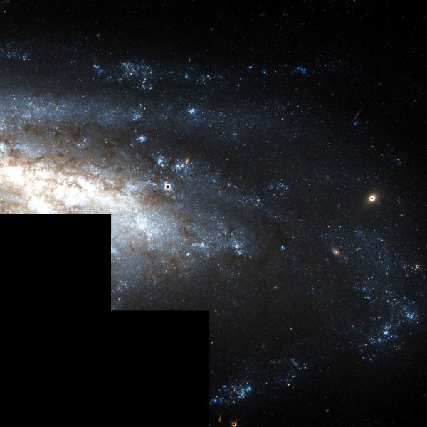 NGC 3198 Hubble WikiSky