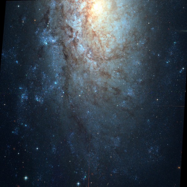 NGC 3621 Hubble WikiSky