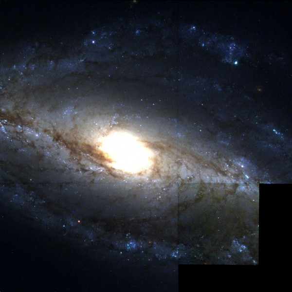 NGC 613 Hubble WikiSky