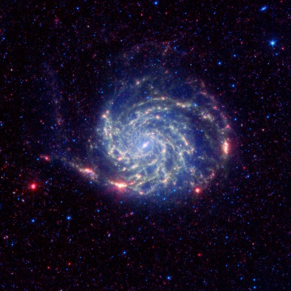 No Organics Zone Circles Pinwheel Galaxy