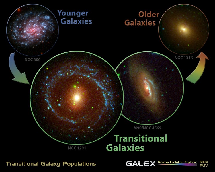 Transitional Galaxy Populations