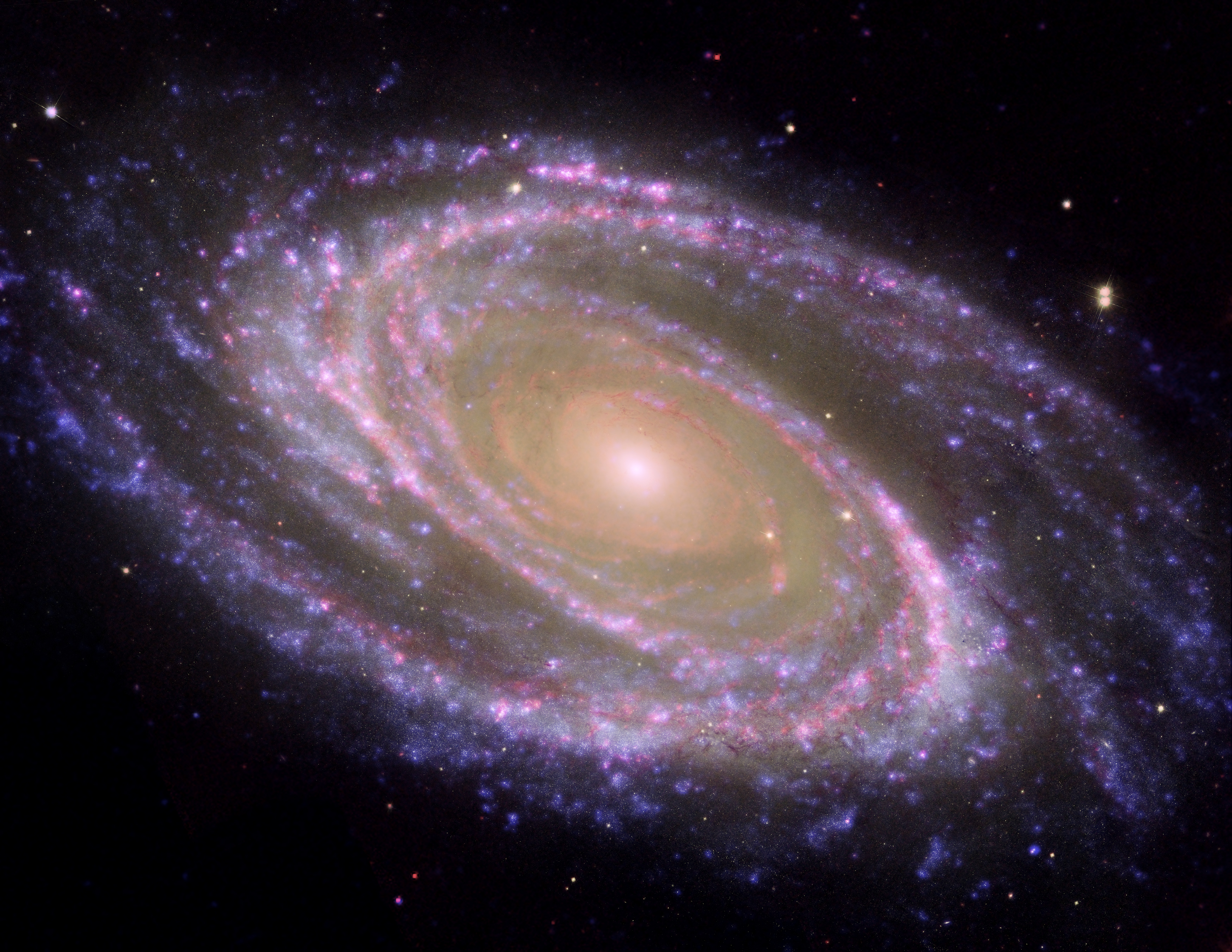 Sig07-009