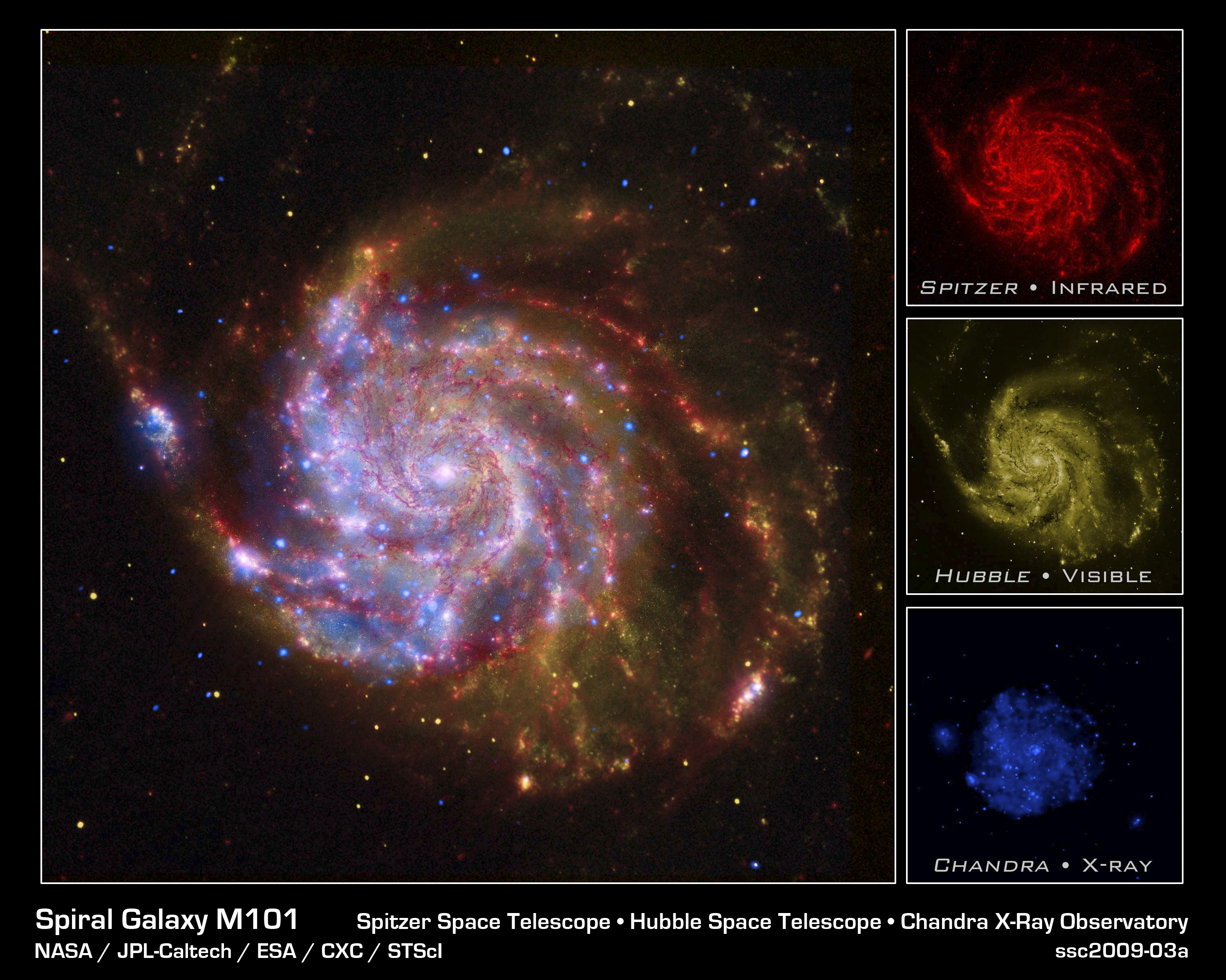 Spiral Galaxy M101