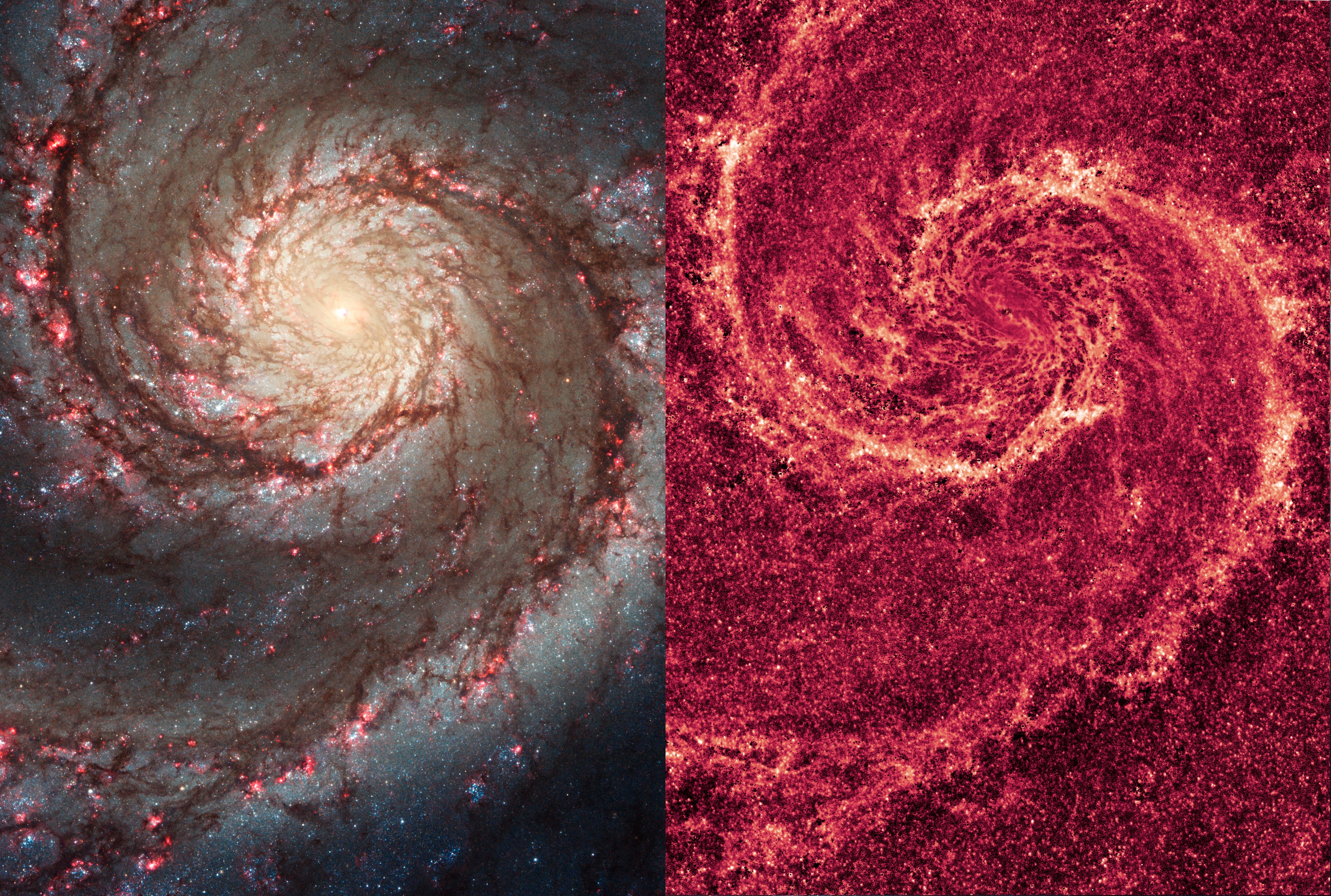 Самый далекий объект. Галактика водоворот м51. М51 водоворот. Галактика водоворот Хаббл. Спиральная Галактика m51.