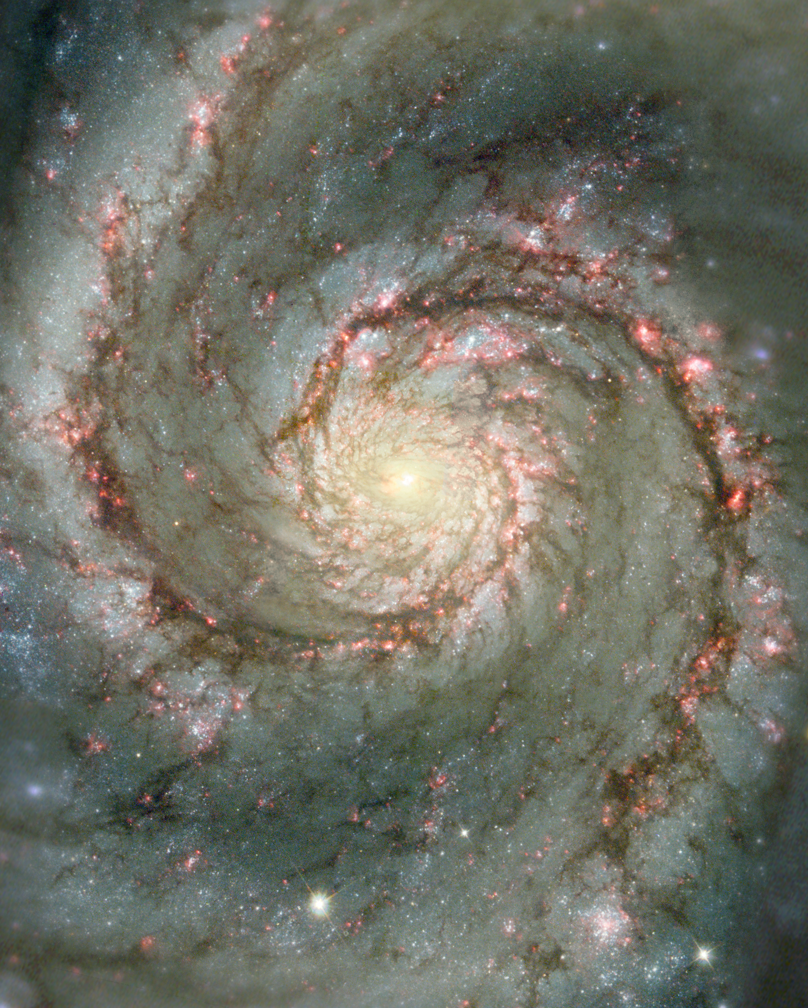 Whirpool Galaxy