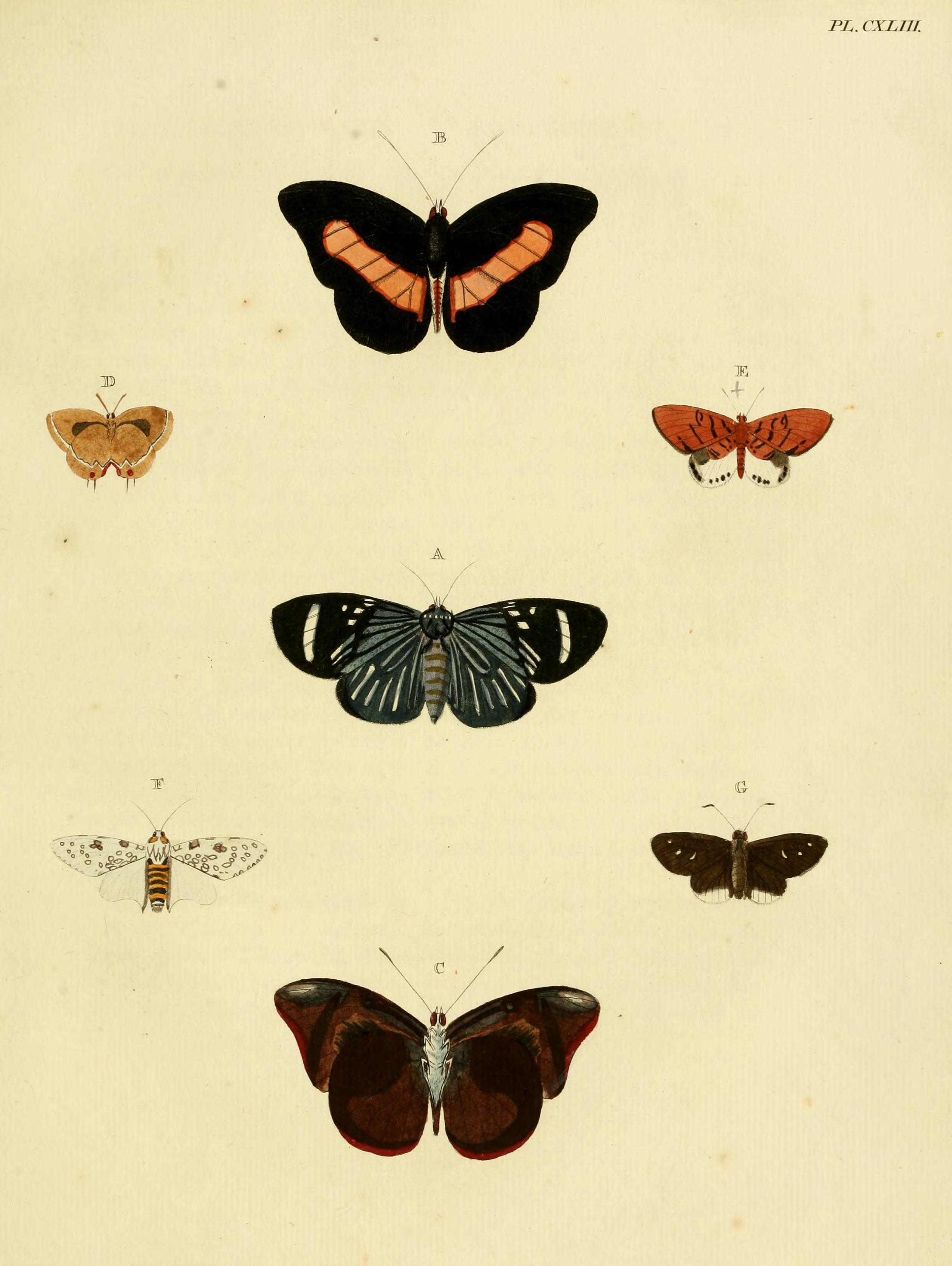 CramerAndStoll-uitlandsche kapellen vol. 2- plate 143