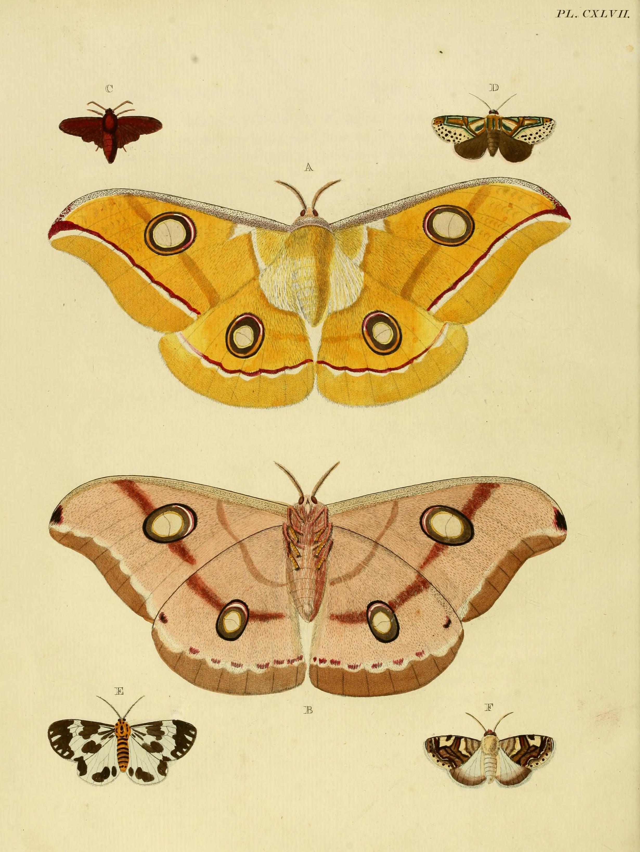 CramerAndStoll-uitlandsche kapellen vol. 2- plate 147