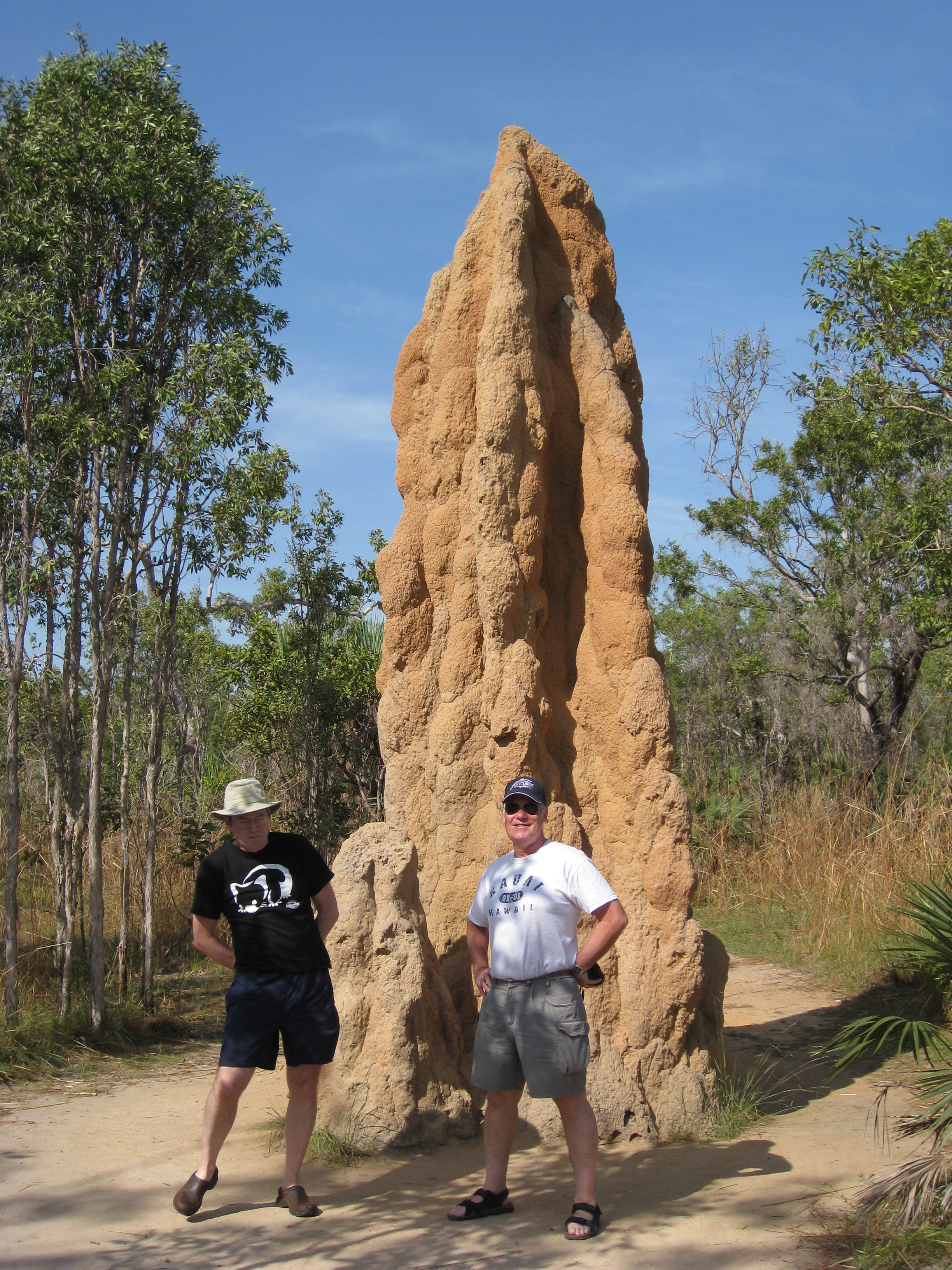 Flickr - brewbooks - Cathedral Termite Mound