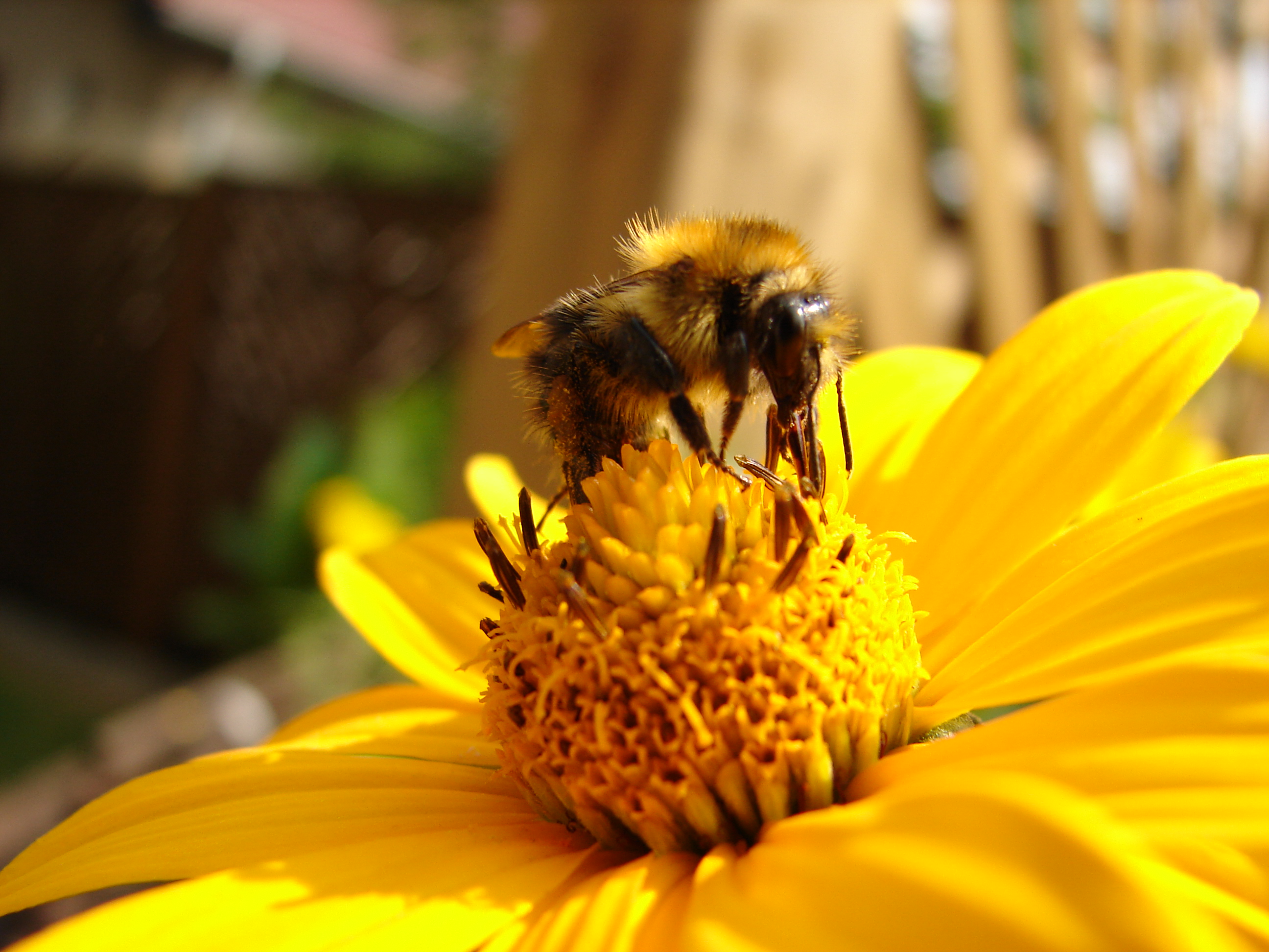 Garten008