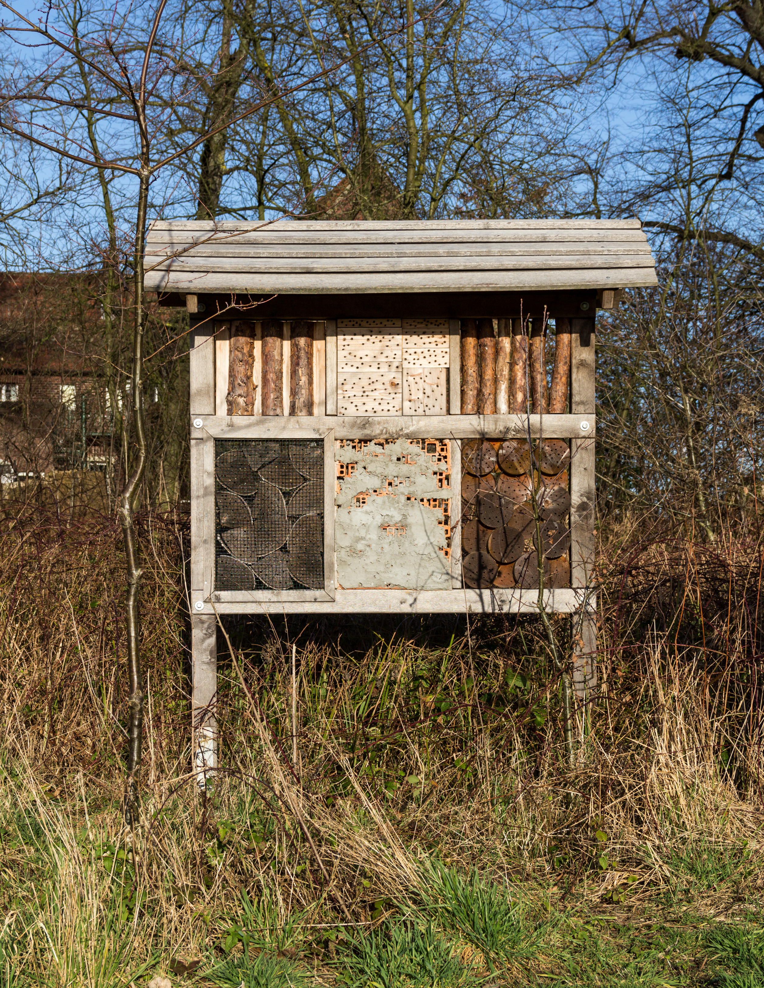 Hausdülmen, Hochzeitsallee -- 2014 -- 15