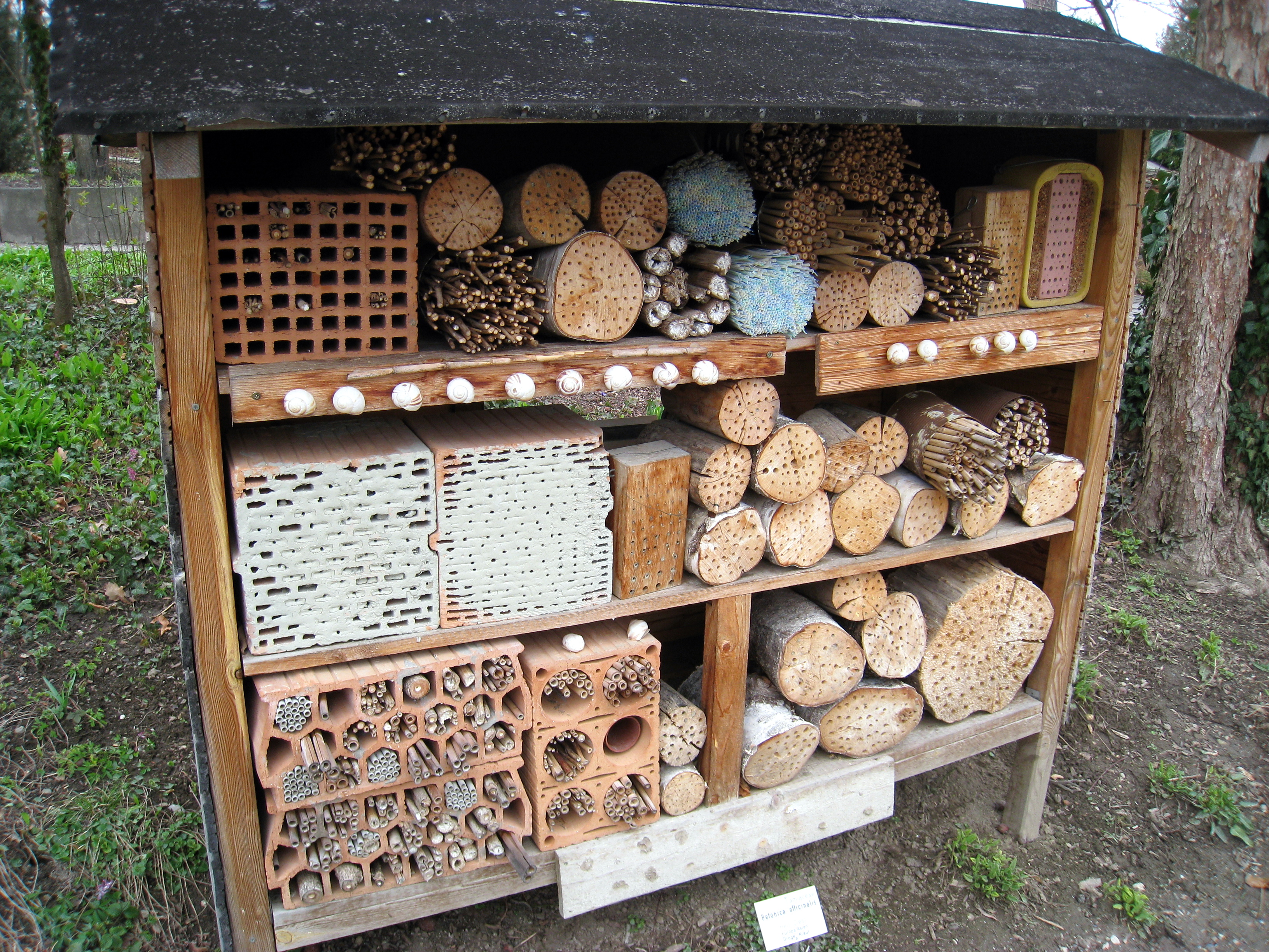 Innsbruck Botanical Garden 356