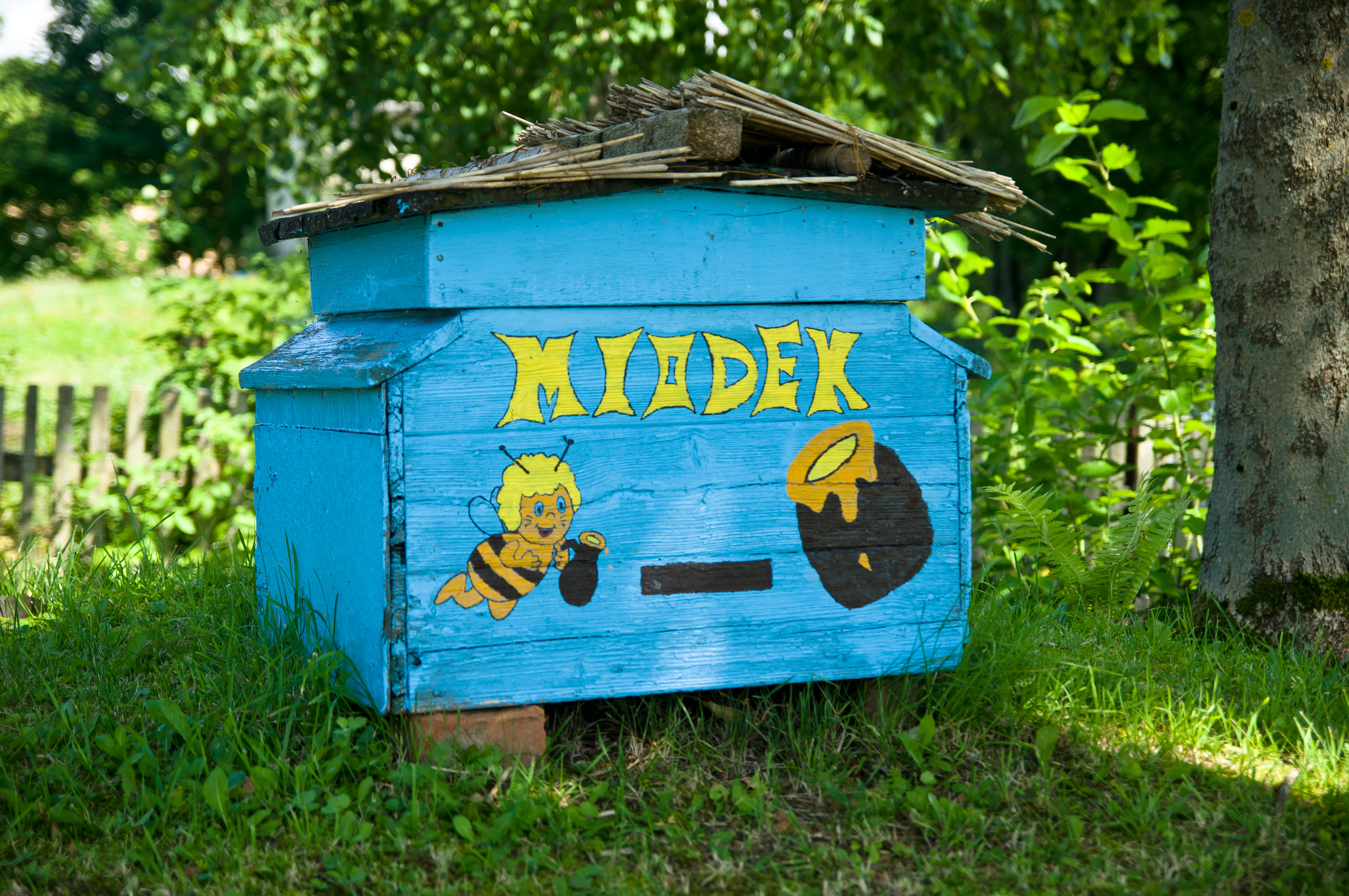 Janikowo, miodek