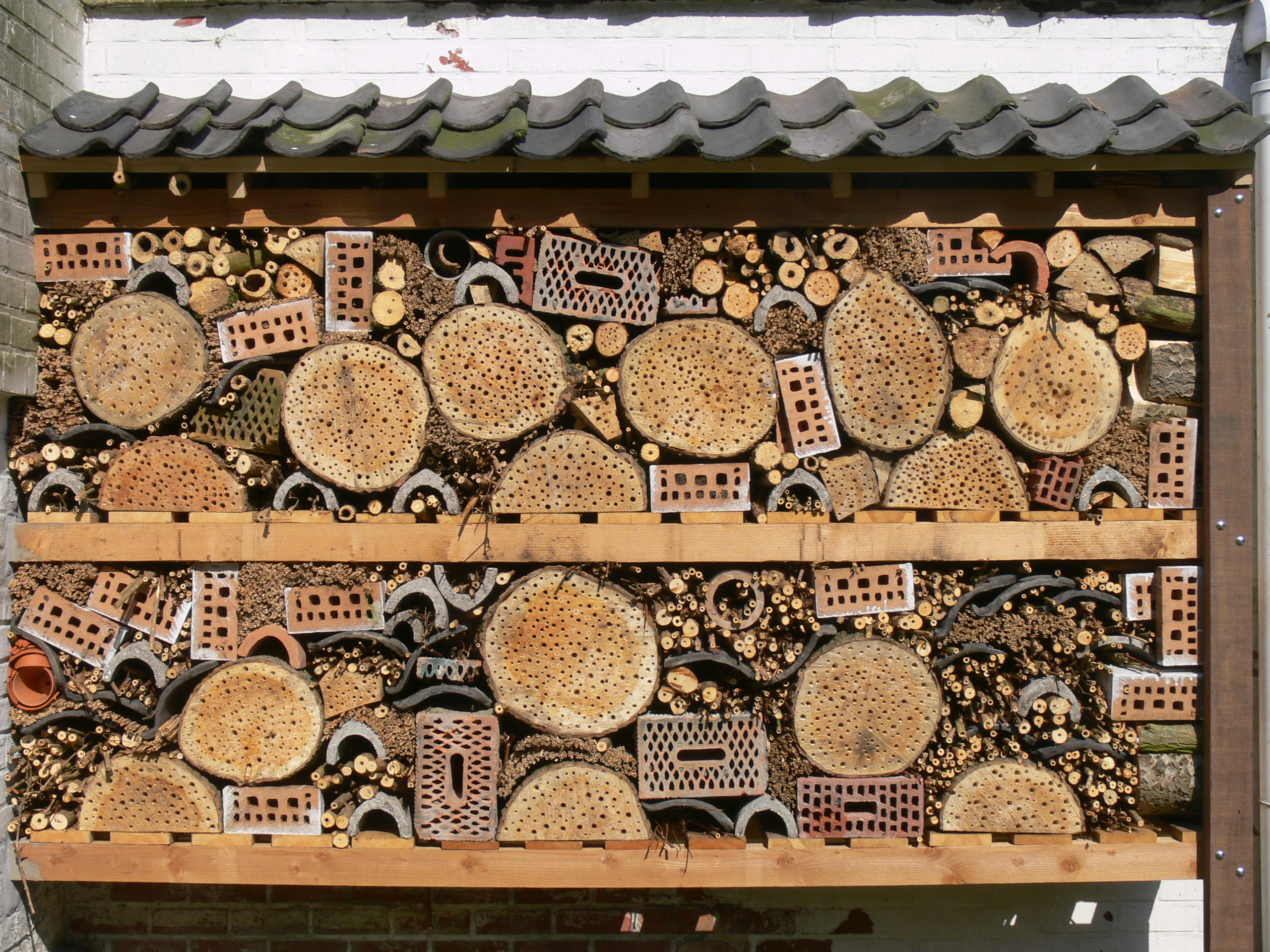 NichoirInsectesZwin2010