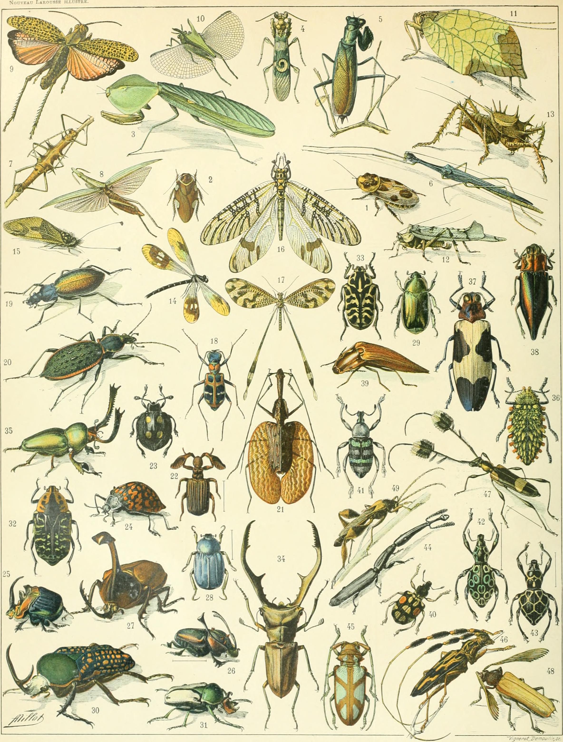 Nouveau Larousse illustré - dictionnaire universel encyclopédique (1898) (14594974280)