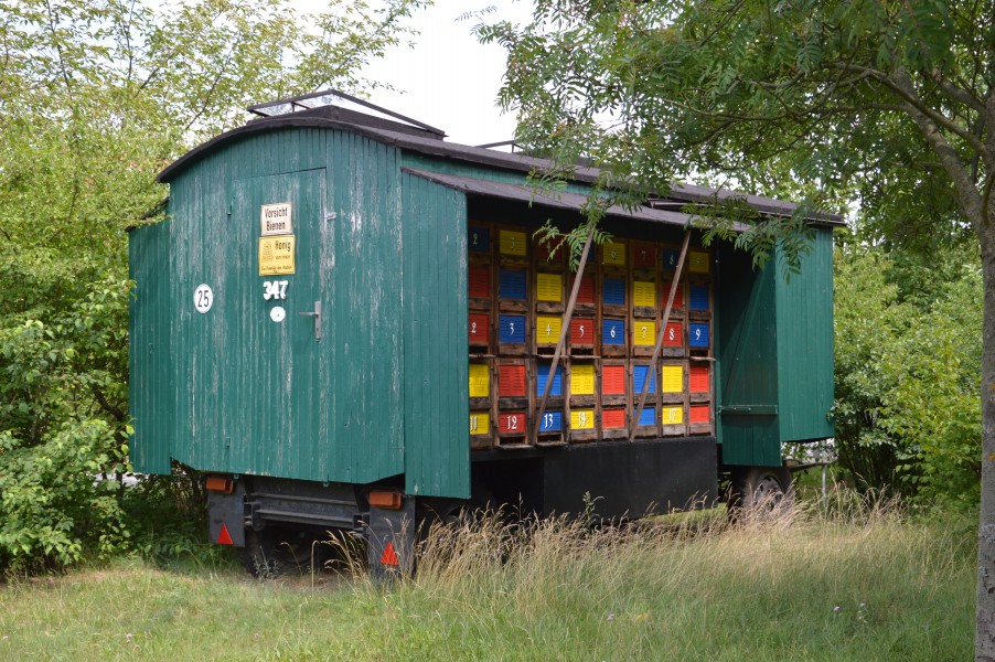 Bienenwagen Altdoebern