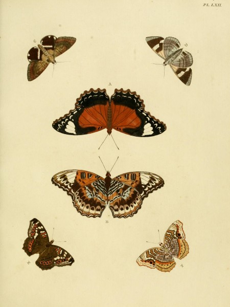 Cramer&Stoll-uitlandsche kapellen vol. 1- plate 062