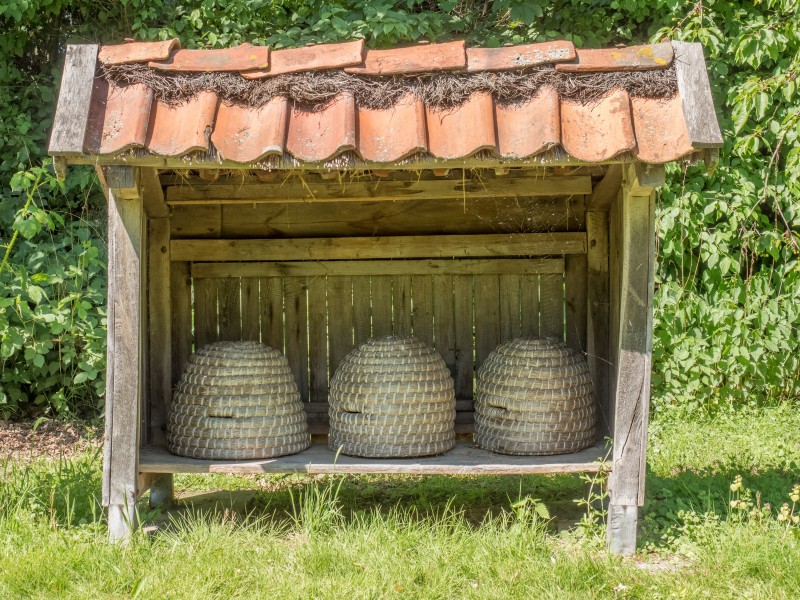 Freilichtmuseum Cloppenburg Beehives 17RM3622