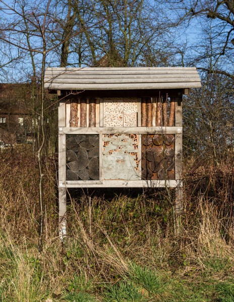 Hausdülmen, Hochzeitsallee -- 2014 -- 15
