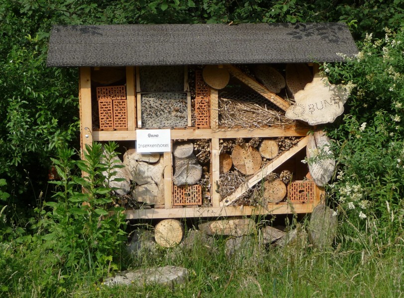 Insektenhotel Neuhofen (Pfalz)