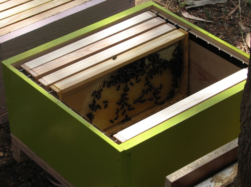Inside the Beehive 2