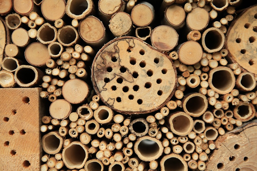 Löbau - Landesgartenschau 102 ies