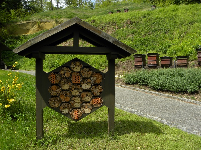 Linz-Pöstlingberg - OÖ Landesverband für Bienenzucht - Wildbienenhotel und Bienenstöcke