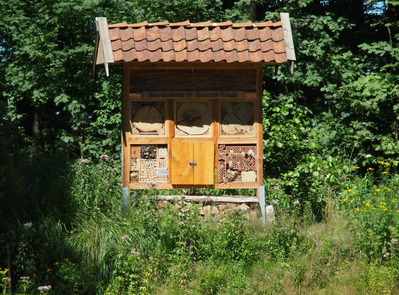 NABU Insektenhaus Oldendorf HdN