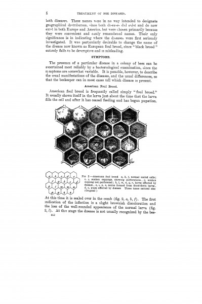 The treatment of bee diseases (Page 8) BHL42459330