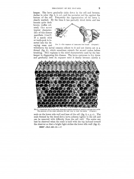 The treatment of bee diseases (Page 9) BHL42459331