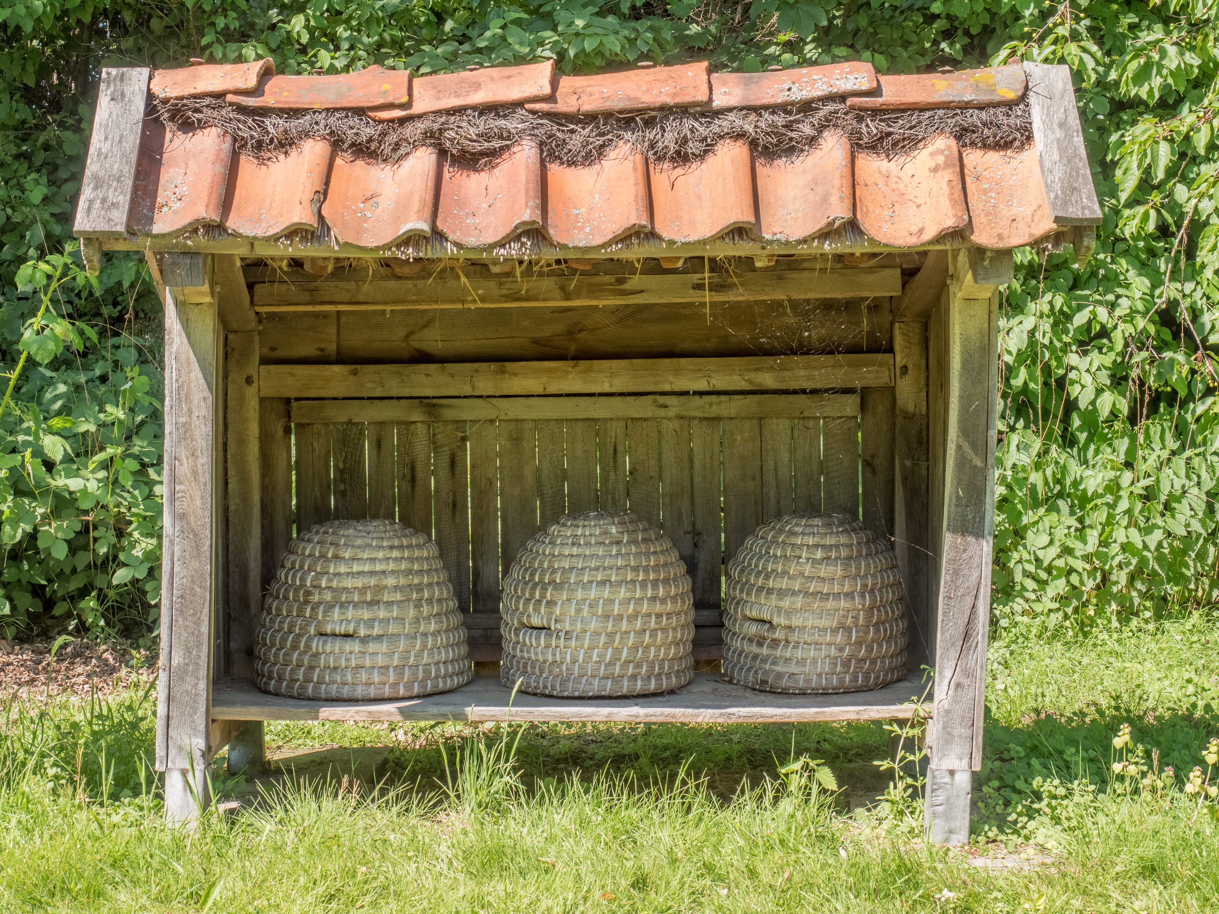 Freilichtmuseum Cloppenburg Beehives 17RM3622