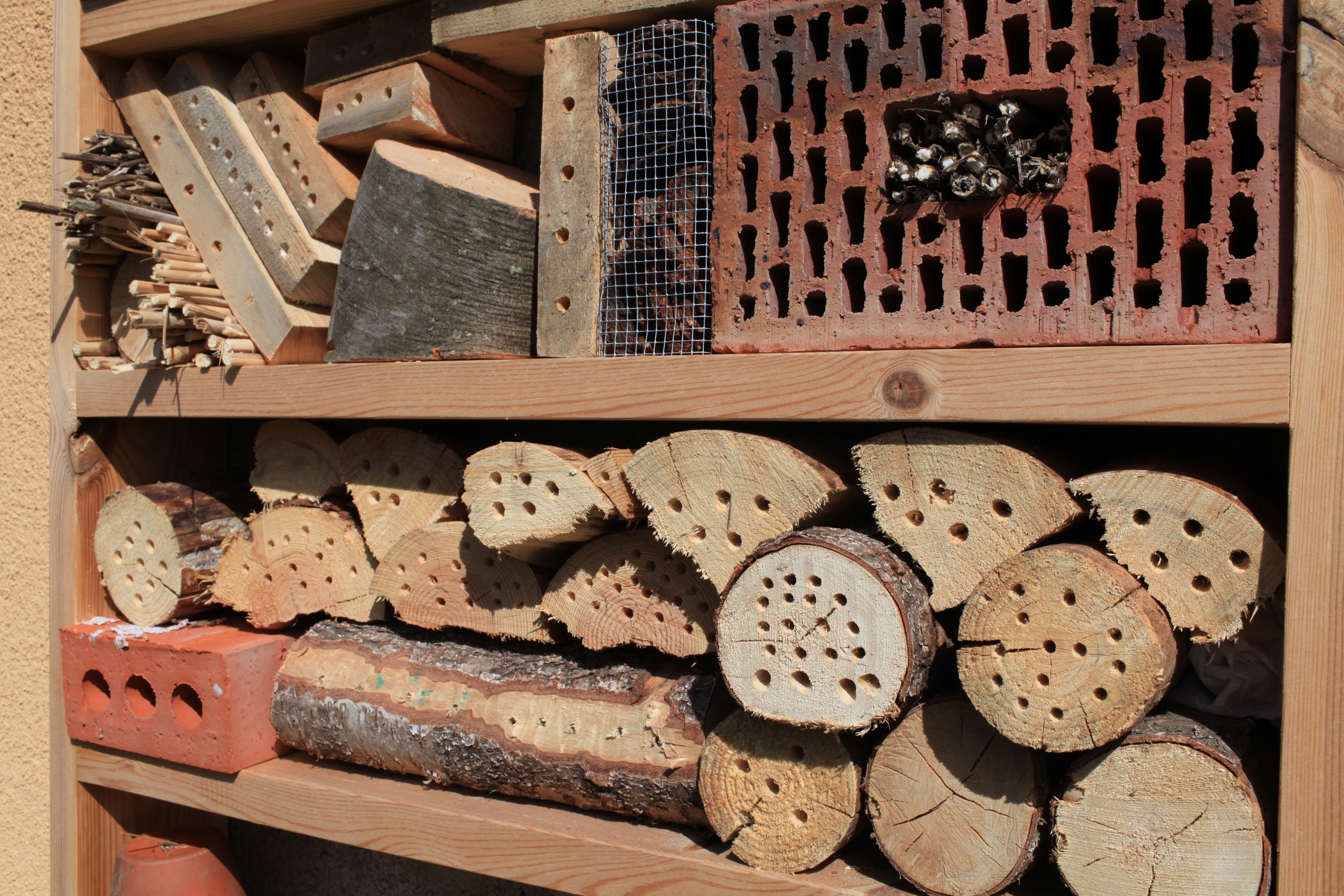 Insect hotel