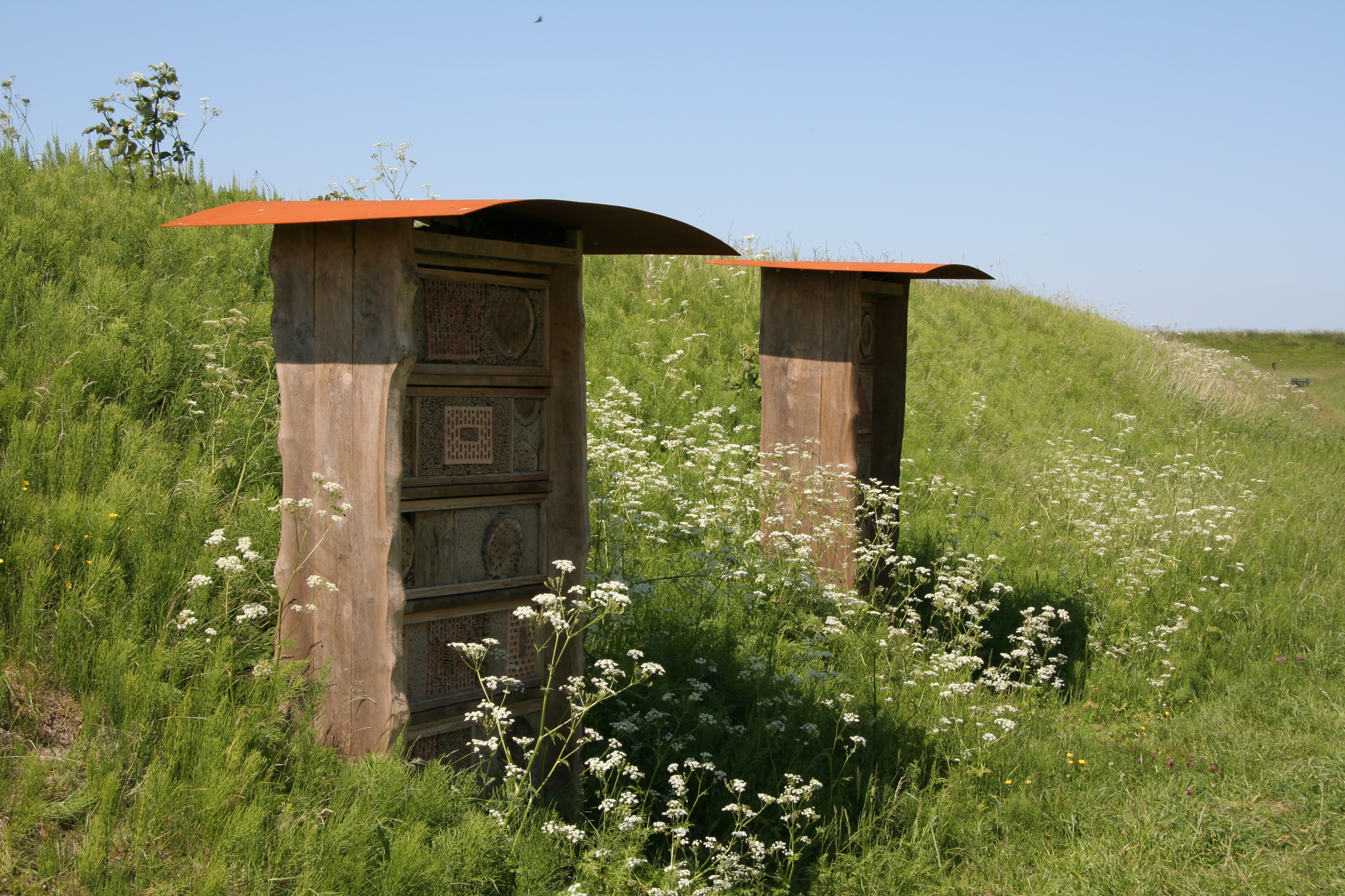 Vogelschutzgebiet Katinger Watt - panoramio - Helfmann (1)