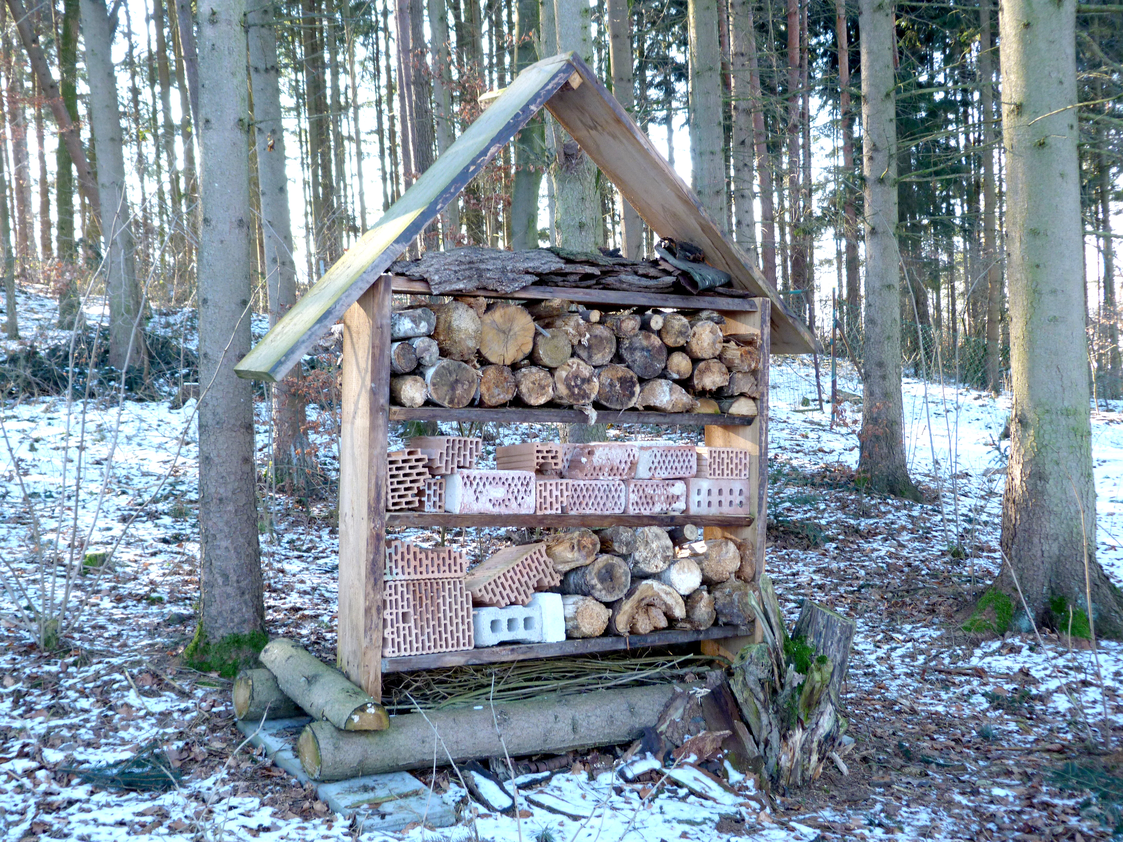 Wallersdorf4