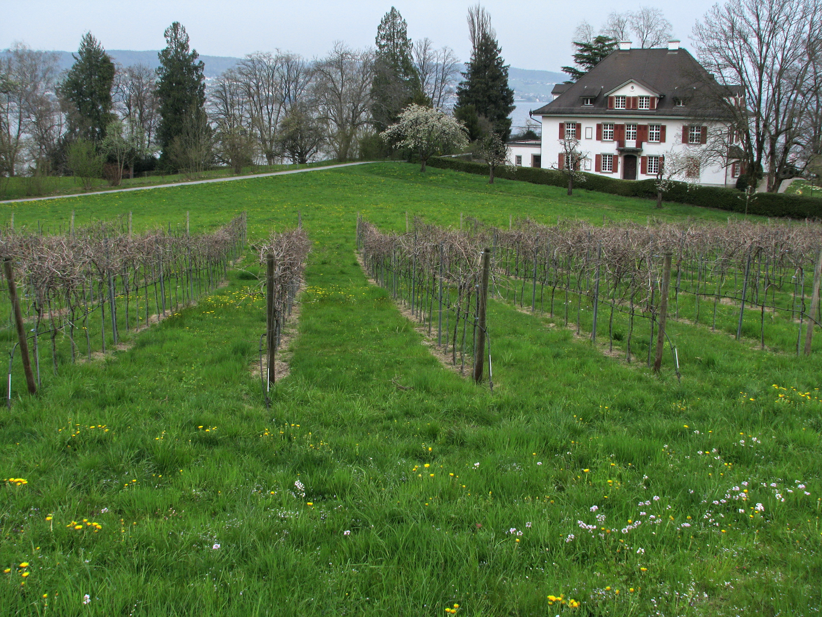 Au Halbinsel IMG 6300