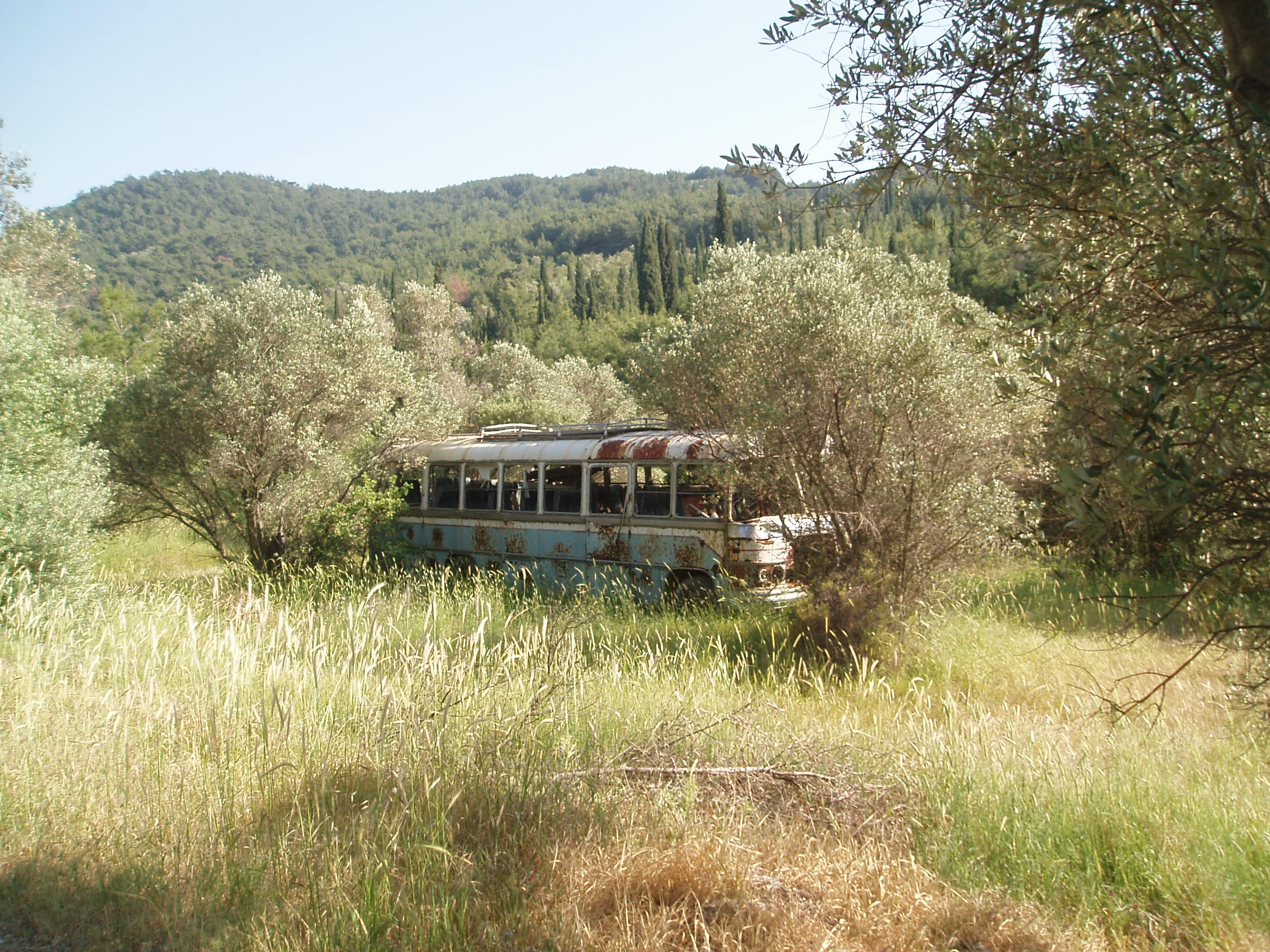 Buss, Samos, Grekland