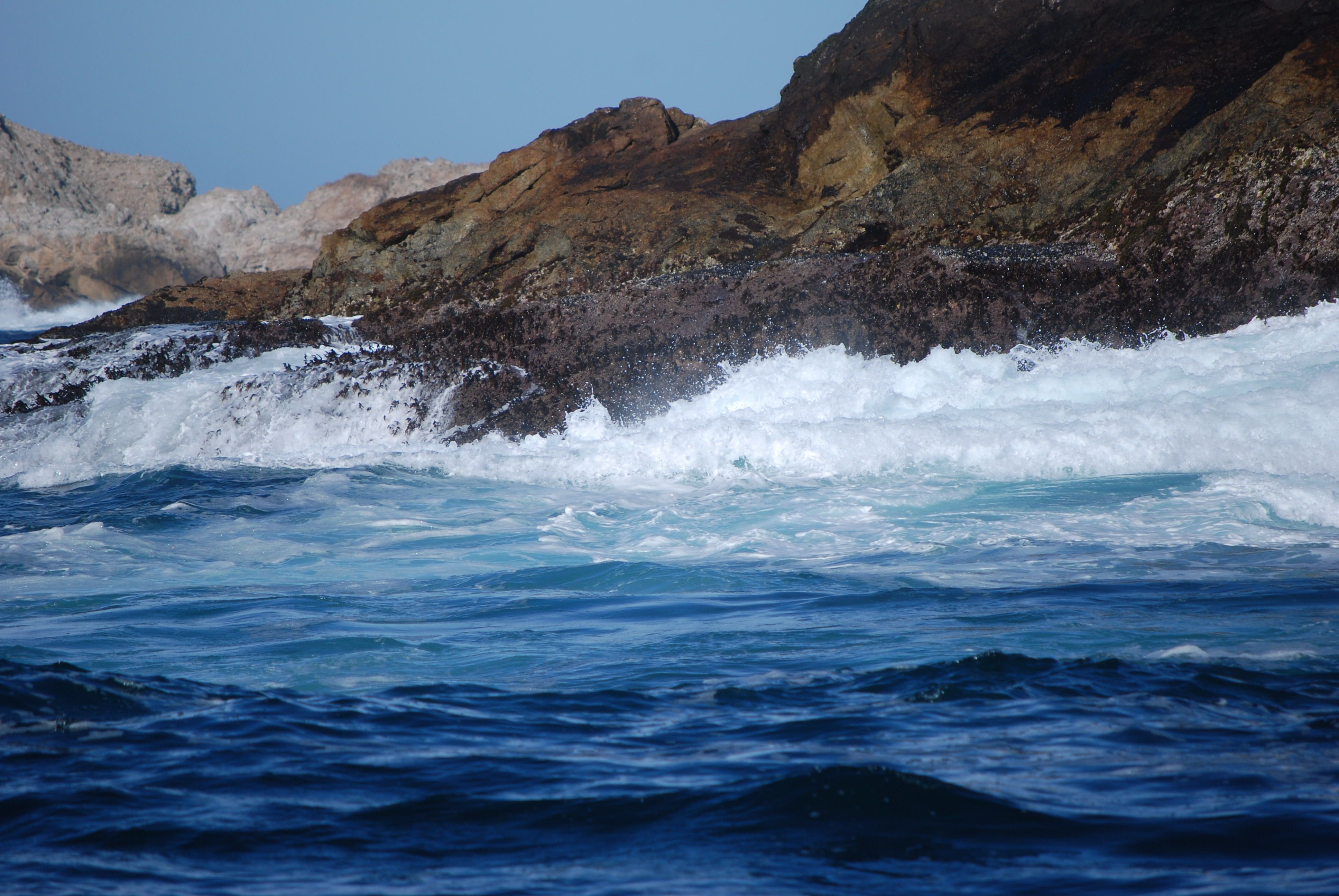 Farallon islands near San Francisco 06