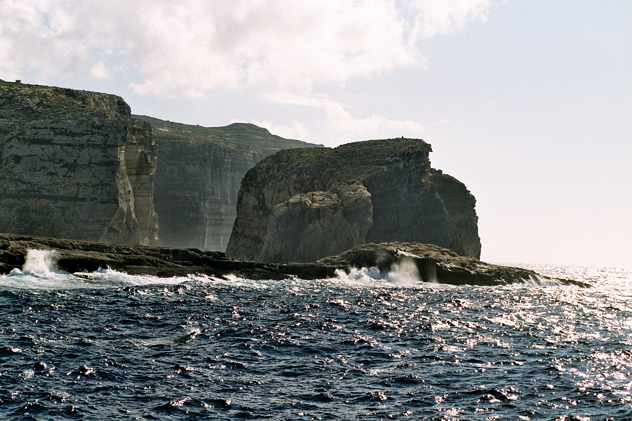 Fungus Rock