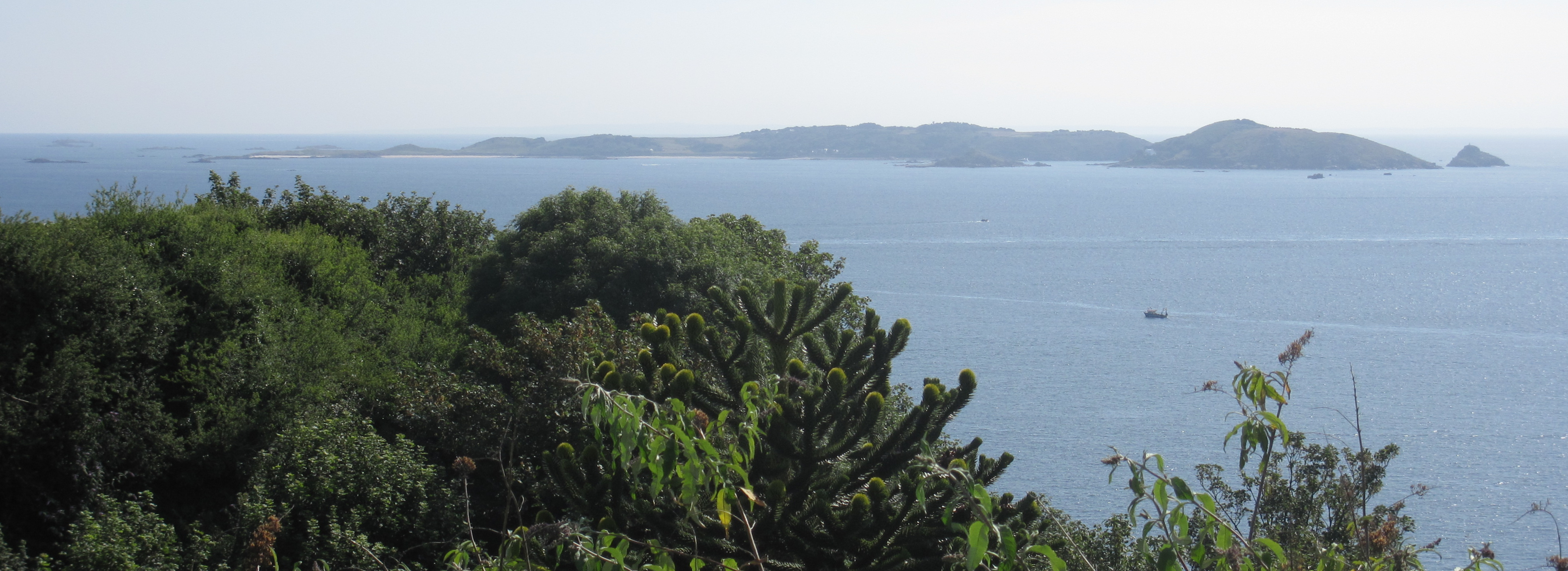 Guernsey 2011 057