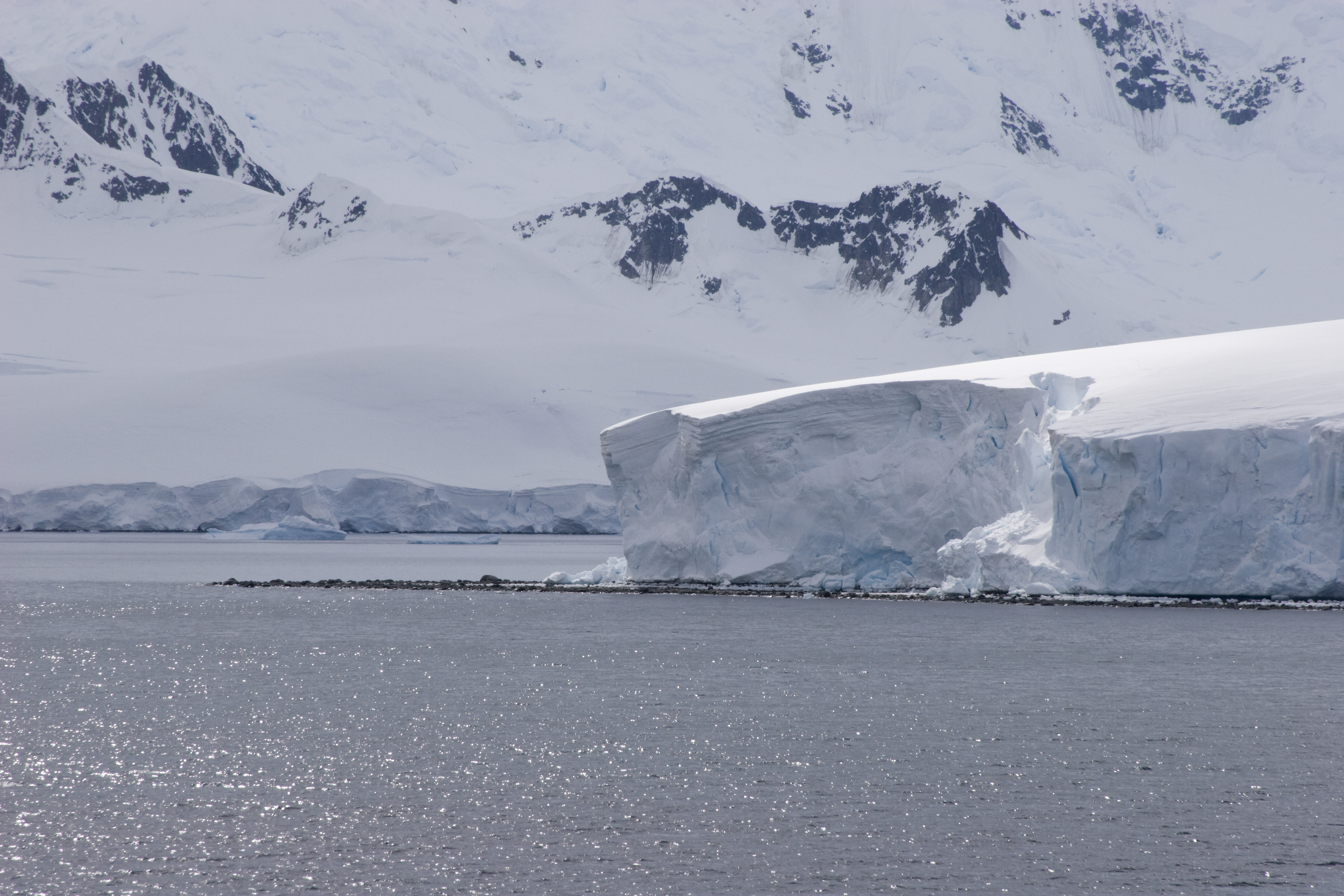 Iceonkinggeorgeislandalpha