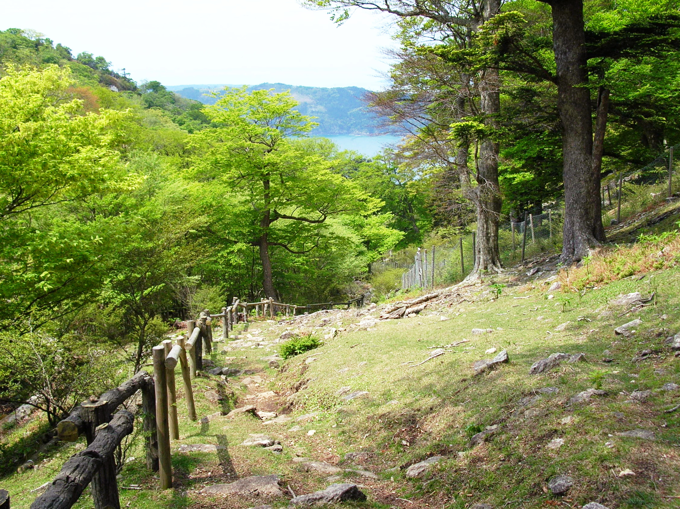 Kinkasan-tozan