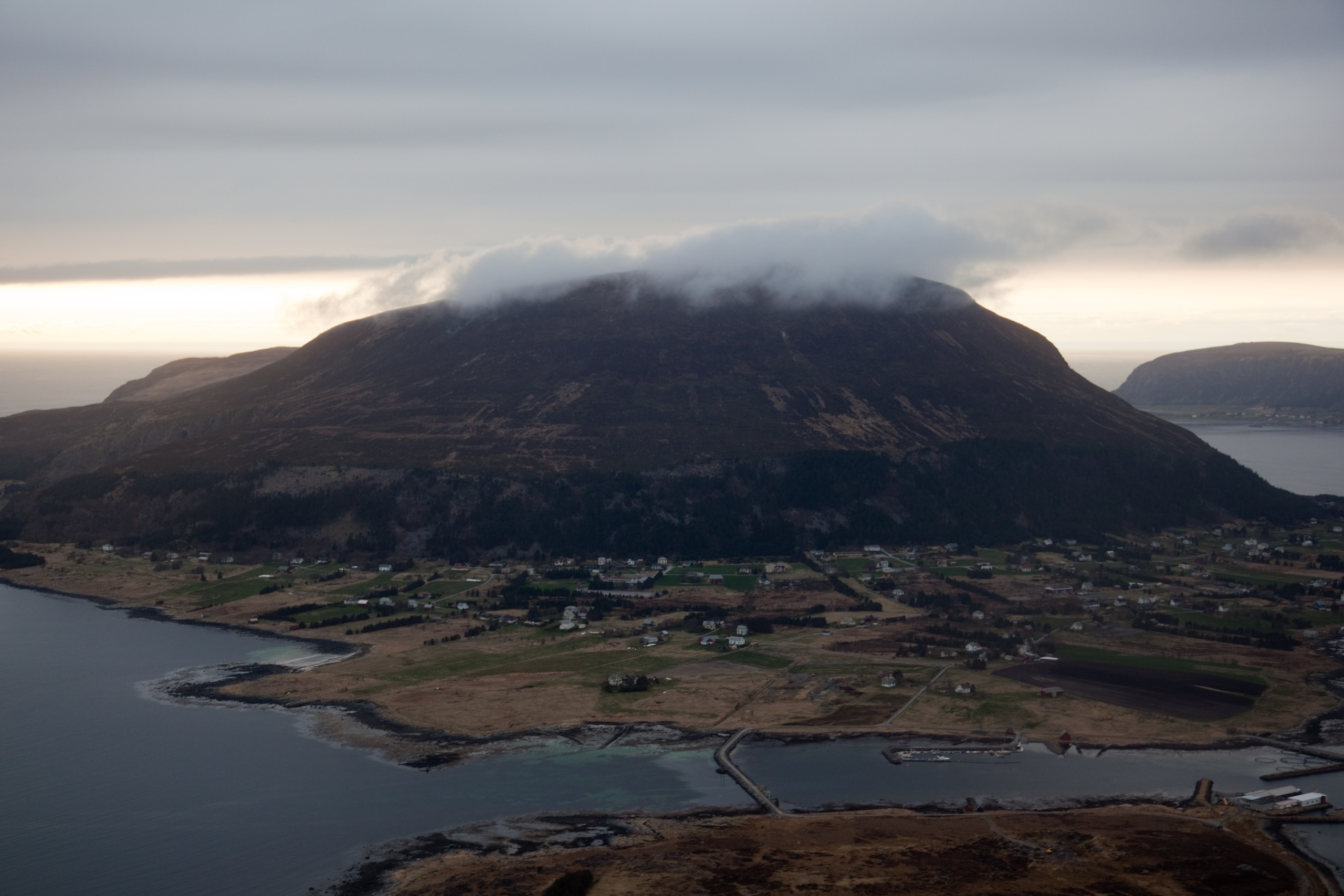 Lepsoeya