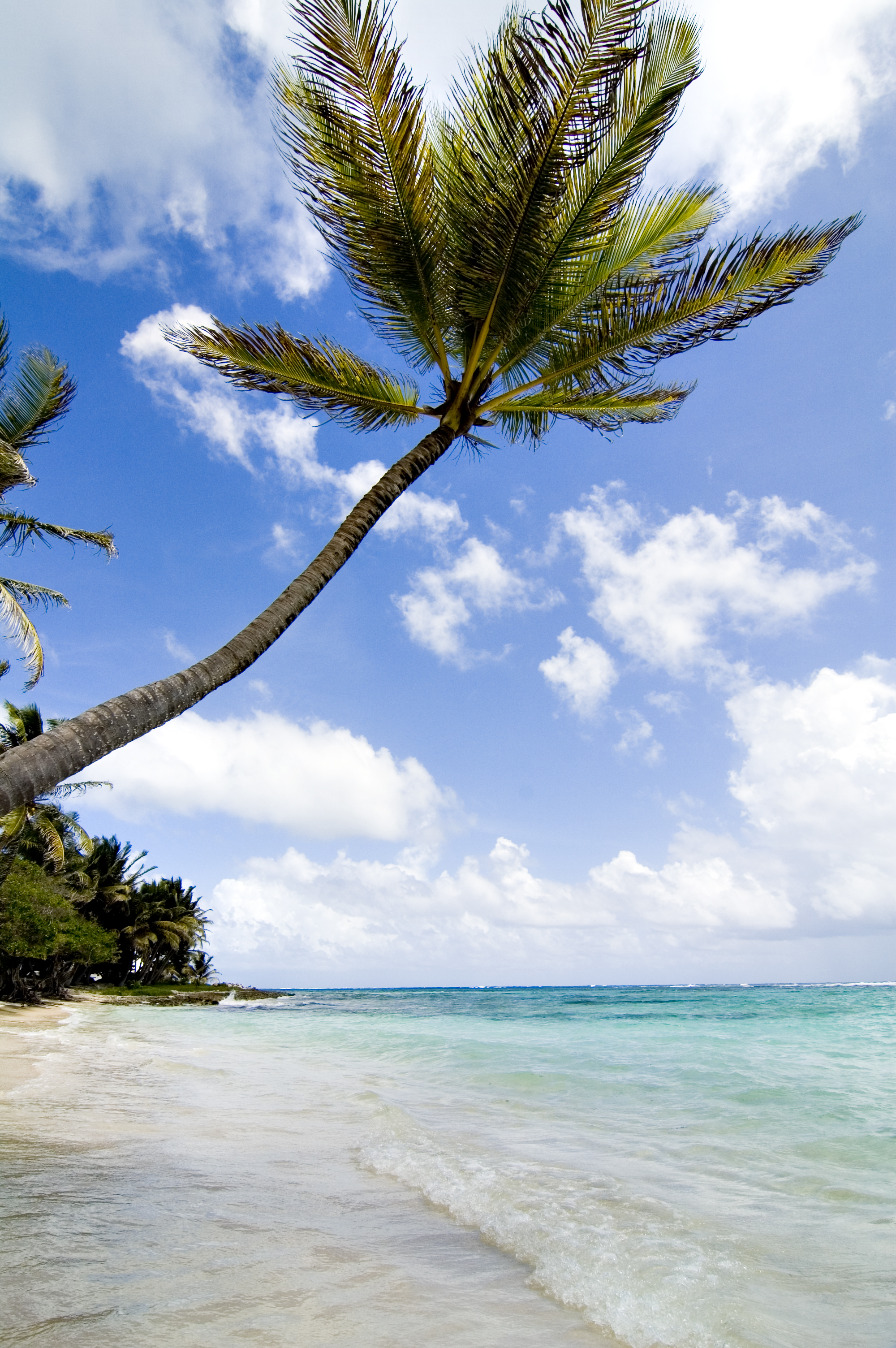 Marie Galante - on the beach (407689602)