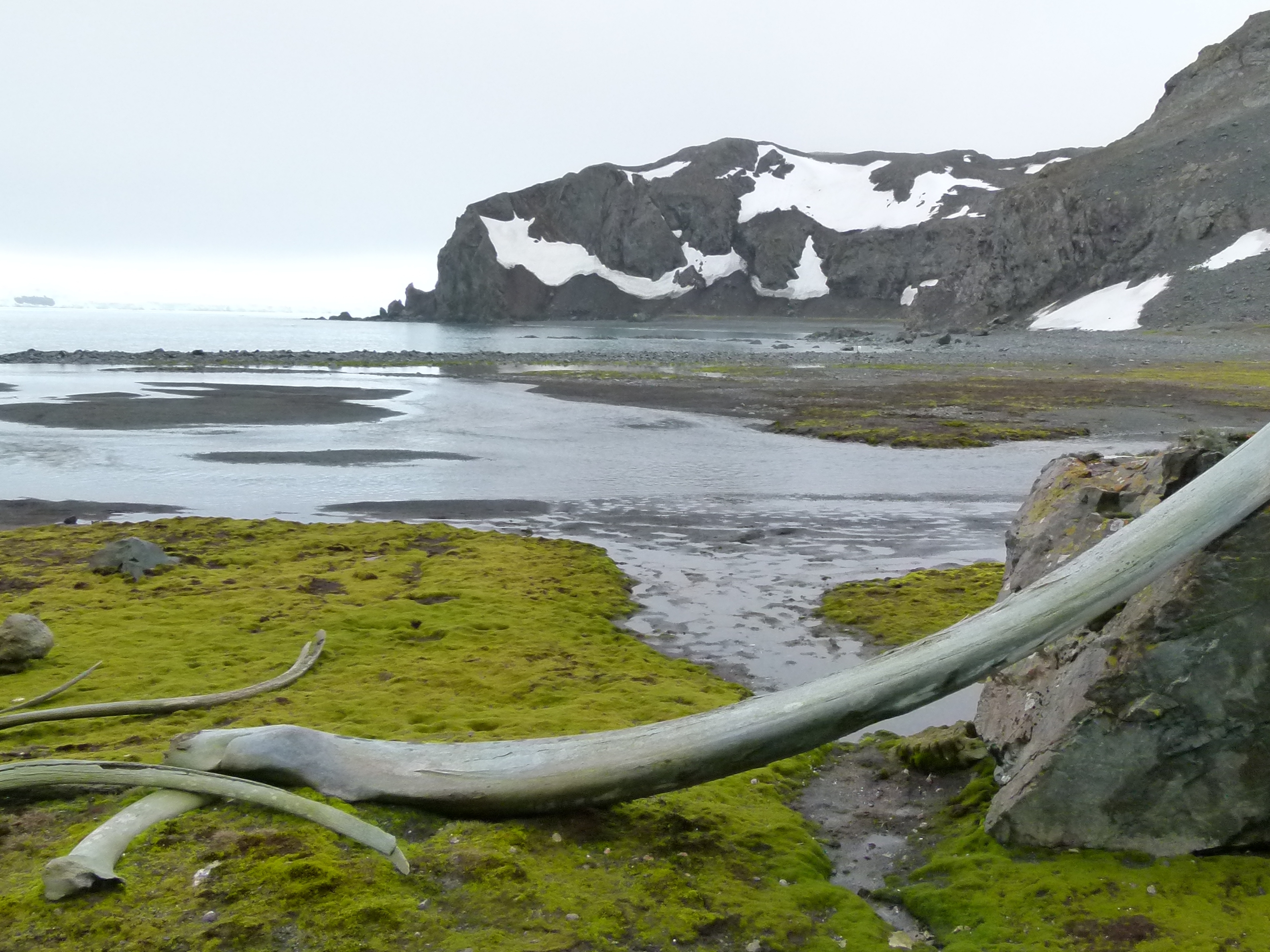 Polish-Bluff-Antarctica