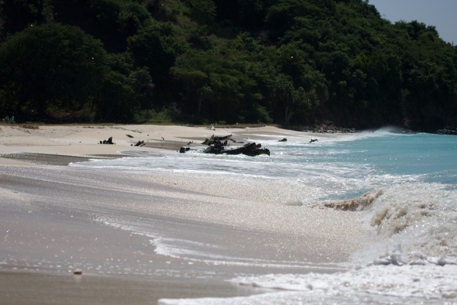 AntiguaBeach