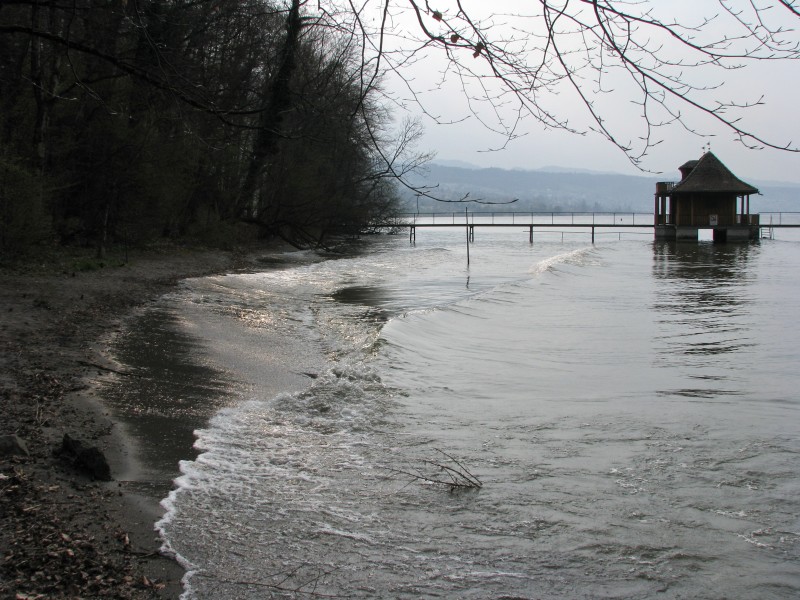 Au Halbinsel IMG 6271
