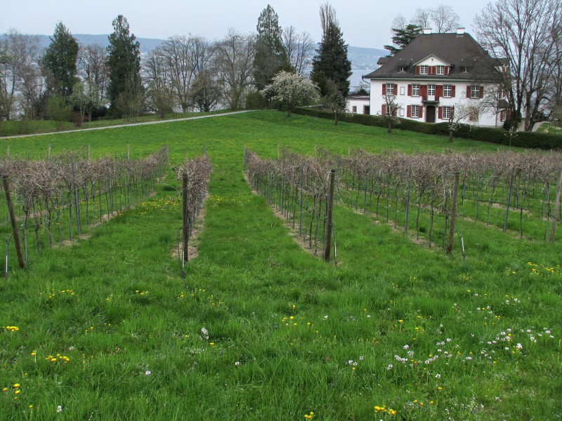 Au Halbinsel IMG 6300