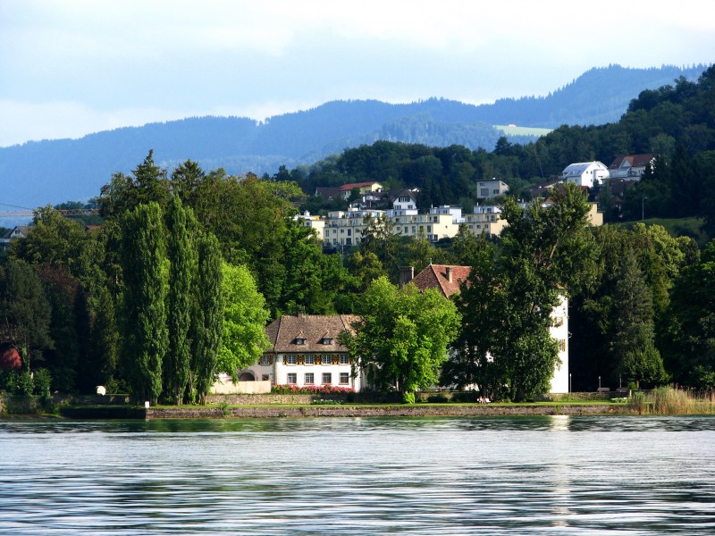 Au ZH - Zürichsee IMG 3826